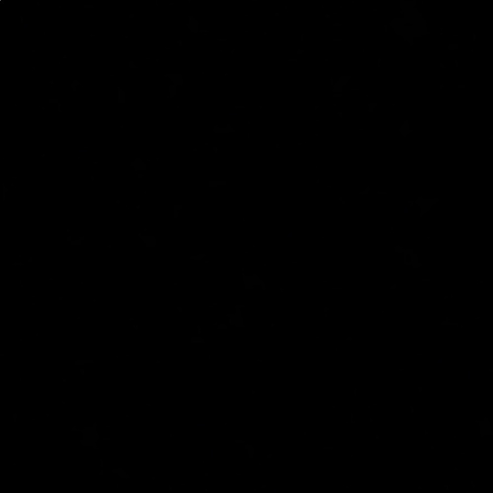 Check out my closet